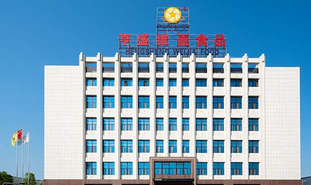 亨盛维嘉1.png
