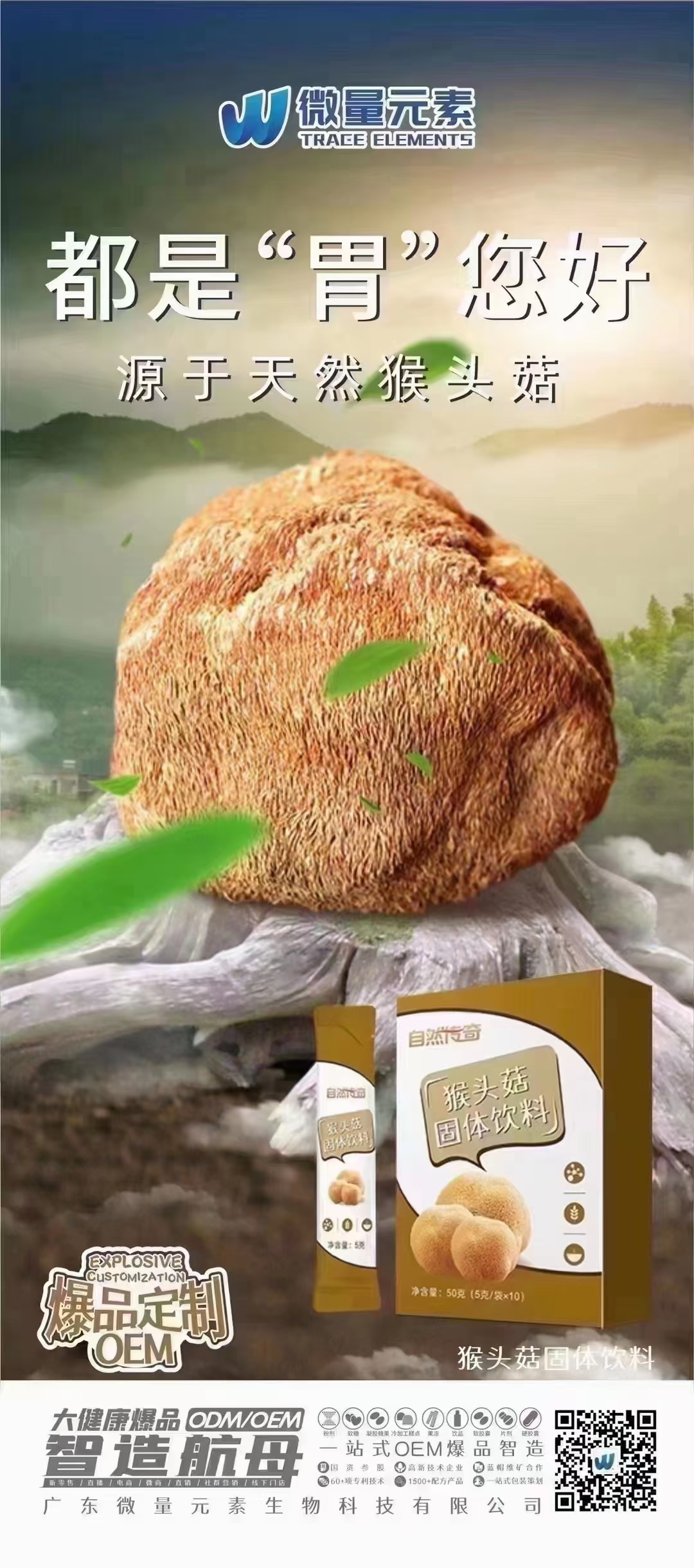 自然传奇猴头菇固体饮料.jpg